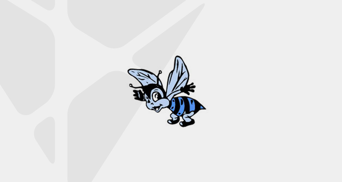 Aynor Elementary School Improves Teacher Coaching with Vosaic