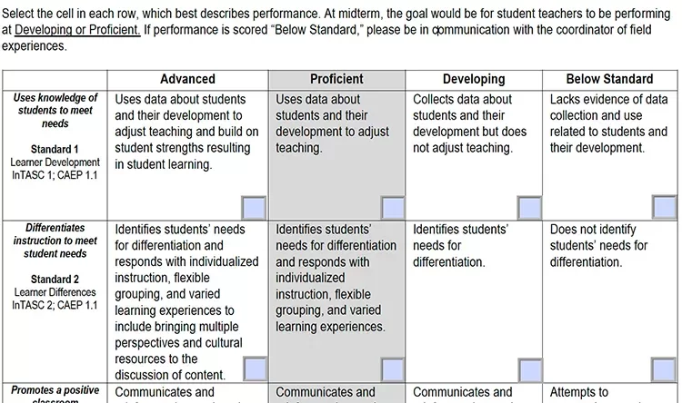PDF Rubric Screenshot Example